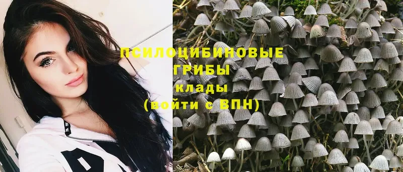 Псилоцибиновые грибы Psilocybine cubensis  даркнет формула  Дегтярск 